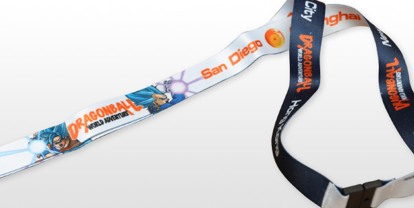 Lanyard